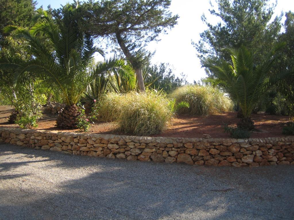 Hacienda Encanto Del Rio Playa DPlaya Des Figueral Extérieur photo